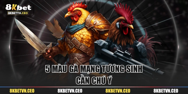 5 màu gà mạng tương sinh cần chú ý