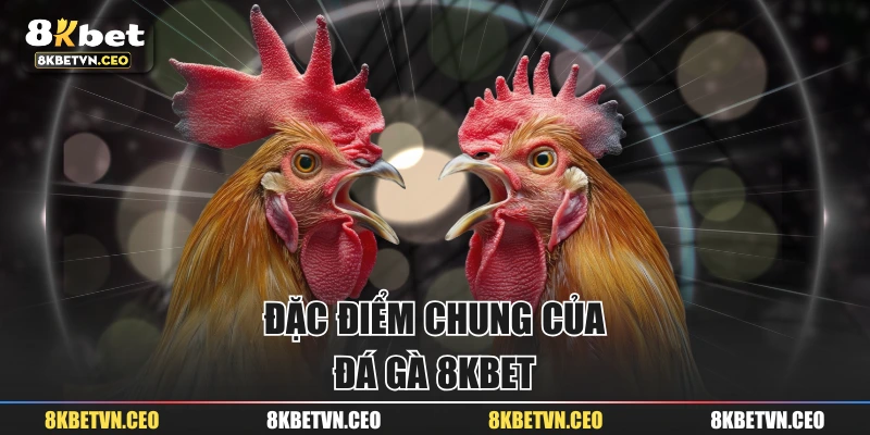 Đặc điểm chung của đá gà 8KBET