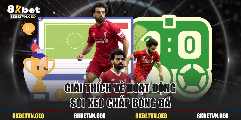 Giải thích về hoạt động soi kèo chấp bóng đá