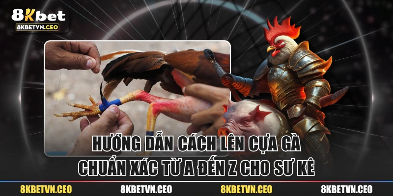 Hướng Dẫn Cách Lên Cựa Gà Chuẩn Xác Từ A Đến Z Cho Sư Kê