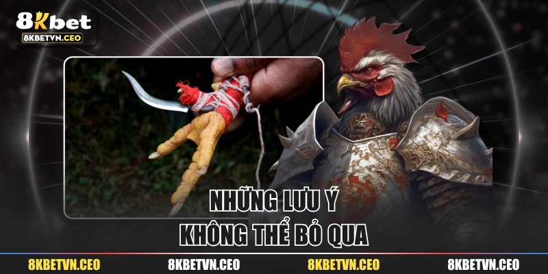 Những lưu ý không thể bỏ qua