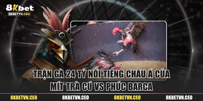 Trận Gà 24 Tỷ Nổi Tiếng Châu Á Của Mít Trà Cú vs Phúc Barca